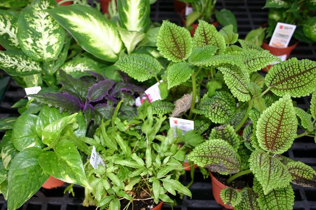 What Do You Need To Start A Landscaping Business What Do You Need To Start A Landscaping Business